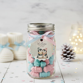 Penguin Winter Twins Baby Shower Boy Girl フェイバータグ