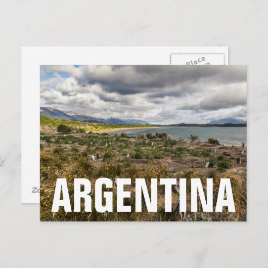 Penguinera ポストカード (正面/裏面)