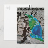 Penguins collage ポストカード (正面/裏面)