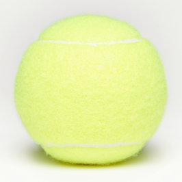 Penn選手権のテニス・ボール テニスボール
