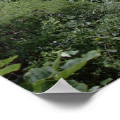 Pennsylvania Grand Canyon ポスター (角)