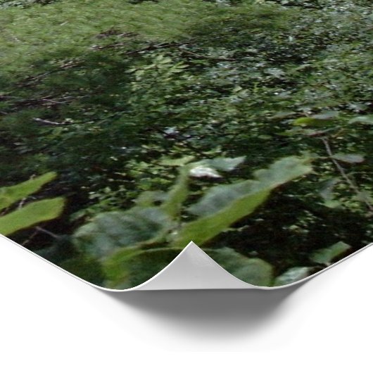 Pennsylvania Grand Canyon ポスター (角)