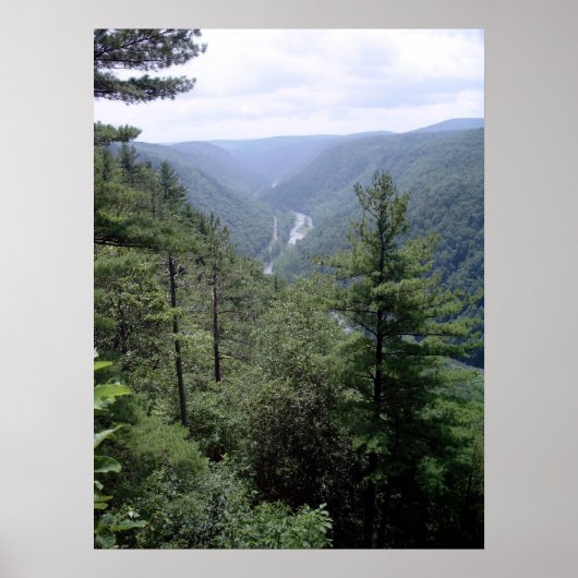 Pennsylvania Grand Canyon ポスター (正面)