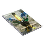 Pensacolaのペリカン ノートブック (右側)