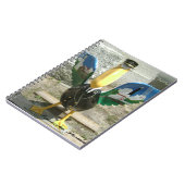 Pensacolaのペリカン ノートブック (左側)