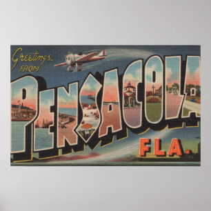 Pensacola、フロリダ(飛行機) ポスター