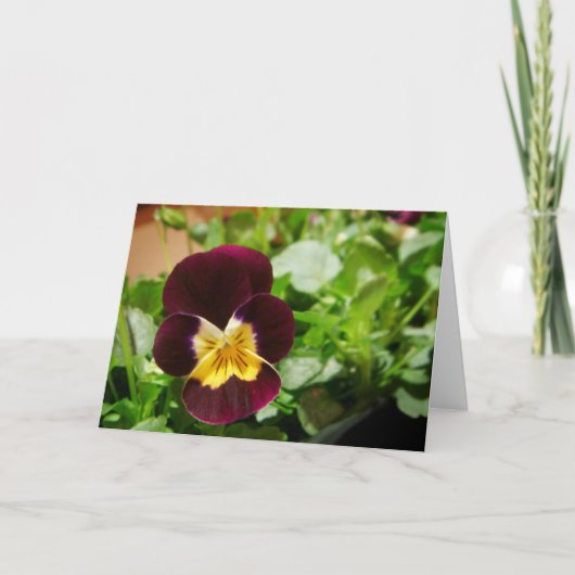 Pensée カード (正面)