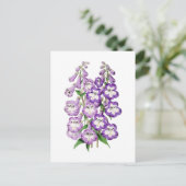 Penstemon Vintage Botanical Postcard ポストカード (スタンド正面)