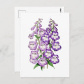 Penstemon Vintage Botanical Postcard ポストカード (正面/裏面)