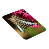 Pentas 3プレミアムマグネットのクリッパー マグネット (右側)