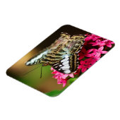 Pentas 3プレミアムマグネットのクリッパー マグネット (左側)