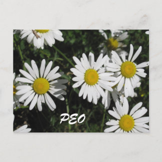 PEOカード ポストカード