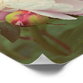 Peonies Pink Peony and Bud Flower Art Poster ポスター (角)