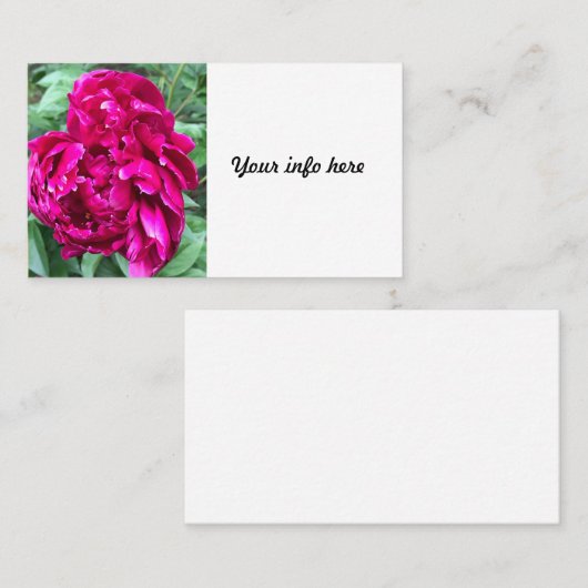 Peony名刺 名刺 (正面/裏面)