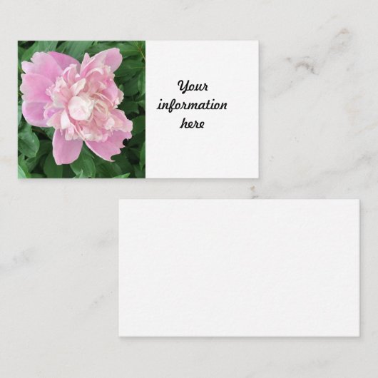 Peony名刺 名刺 (正面/裏面)