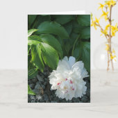 Peony 大切空白の Greetingおよび/またはNote Card カード (黄色い花)