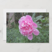 Peony Flat Holiday Card シーズンカード (正面)