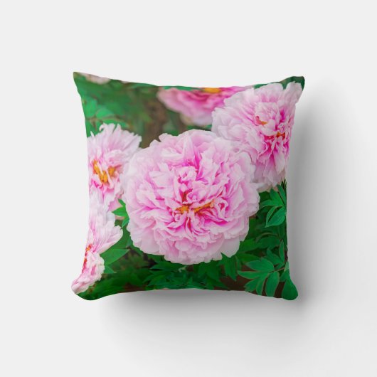 peony in Japanese garden クッション (正面)