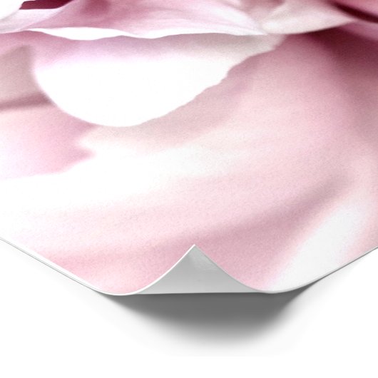 Peony in Macro with Digital Art Pink ポスター (角)