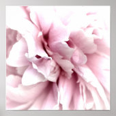 Peony in Macro with Digital Art Pink ポスター (正面)