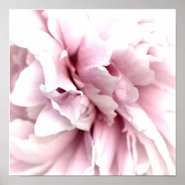 Peony in Macro with Digital Art Pink ポスター