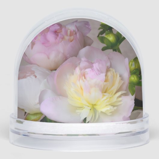 PEONY SNOWGLOBE (正面)