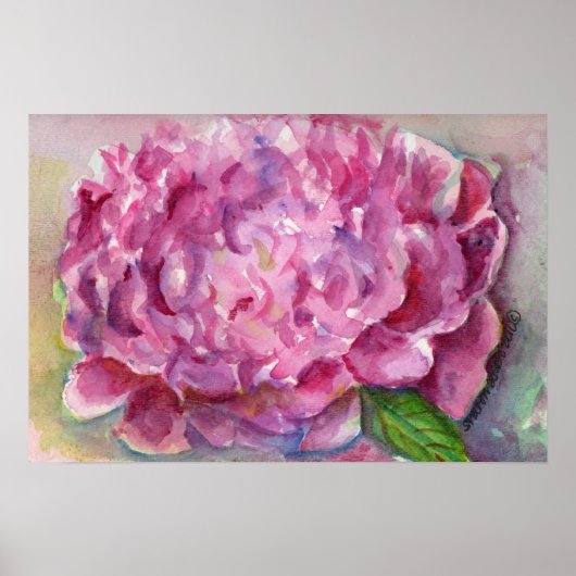 Peony Watercolor ポスター (正面)