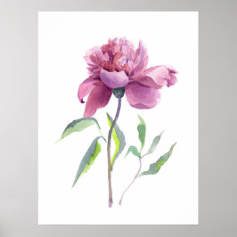 Peony Watercolor Botanical Wall Art ポスター