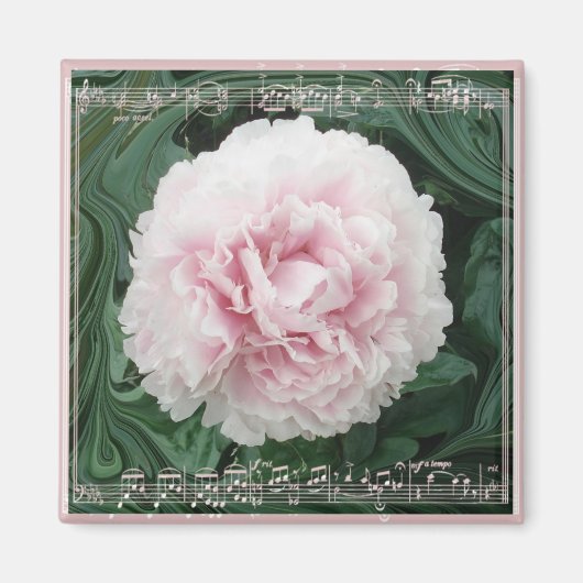 PeonyMusicMagnet マグネット (正面)