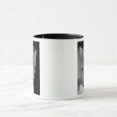 Pepinの墓「短いの」、フランクの王 マグカップ (中央)