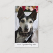 PepiSmartDogの名刺(5) 名刺 (裏面)