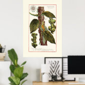 PEPPER - ヴィンテージ植物画イラスト ポスター (ホームオフィス)