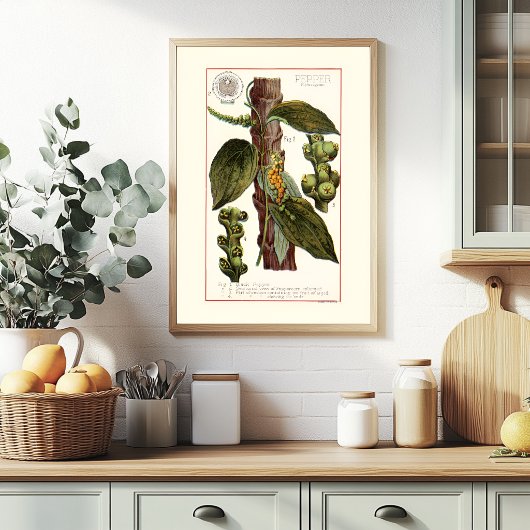 PEPPER - ヴィンテージ植物画イラスト ポスター