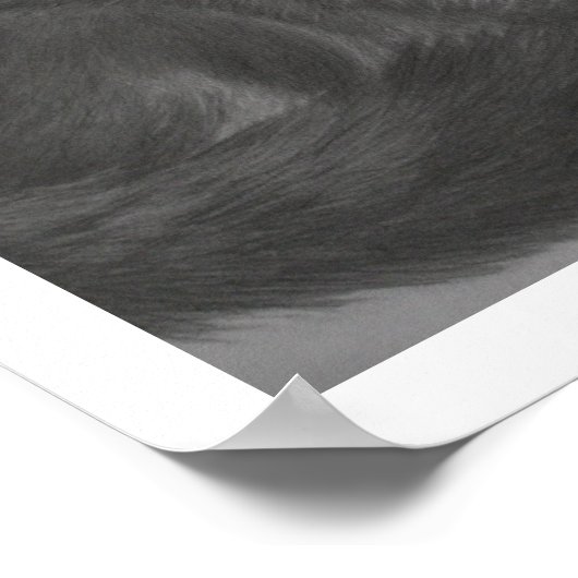 Pepper 14"x11"プリント ポスター (角)