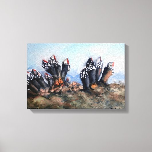 Percebes/Barnacles キャンバスプリント (正面)