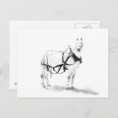 Percheronのばん馬のウマ科のな芸術の郵便はがき ポストカード (正面/裏面)