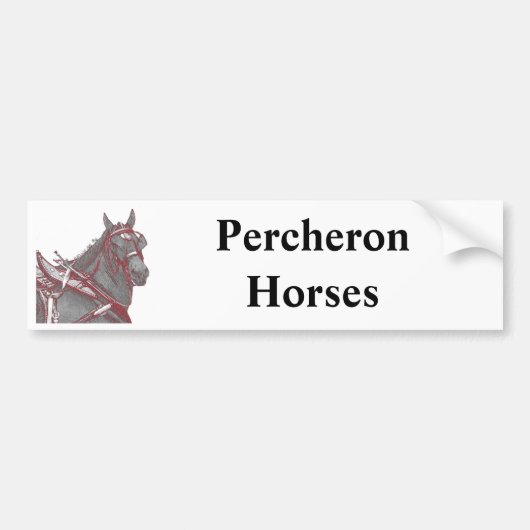 Percheronの馬のバンパーステッカー バンパーステッカー (正面)