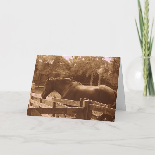 Percheron Greetingカード カード (正面)