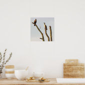 Perching Birds Poster ポスター (キッチン)