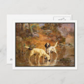 Percival Rosseauによる冷却ストリームのセッター ポストカード (正面/裏面)