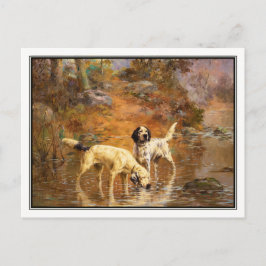 Percival Rosseauによる冷却ストリームのセッター ポストカード