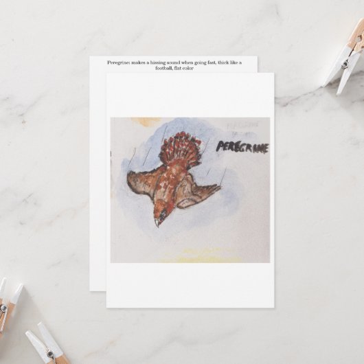 Peregrin Falcon Greeting Card 招待状 (正面/裏面インサイチュ)