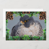 Peregrine Falcon Christmas Card by Debbie Quick シーズンカード (正面/裏面)