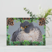 Peregrine Falcon Christmas Card by Debbie Quick シーズンカード (スタンド正面)