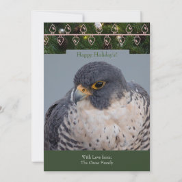 Peregrine Falcon Christmas Card by Debbie Quick シーズンカード