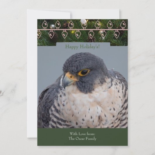 Peregrine Falcon Christmas Card by Debbie Quick シーズンカード (正面)