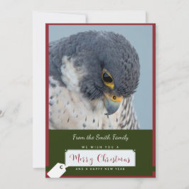 Peregrine Falcon Christmas Card by Debbie Quick シーズンカード