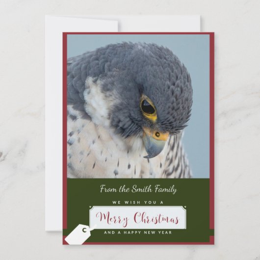 Peregrine Falcon Christmas Card by Debbie Quick シーズンカード (正面)