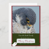 Peregrine Falcon Christmas Card by Debbie Quick シーズンカード (正面/裏面)
