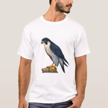 Peregrine falcon  Men's T-Shirts